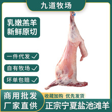 }؞rֻȥƤחllāȫʳl