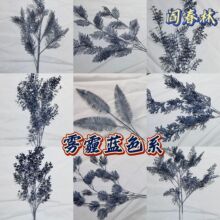 �F���{ɫϵ��c��Y�û��ľƵ��픵��߷��滨�ٻ����󃞏S�����l