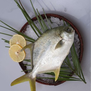 ��������Sֱ�N�����K�~ ʳ�ú��aƷ���l�Ј�����̳��ӹ����S