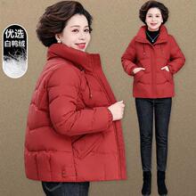 ������q��Ů�̿�С����2025�¿�r�����������Ůʿ������ů����