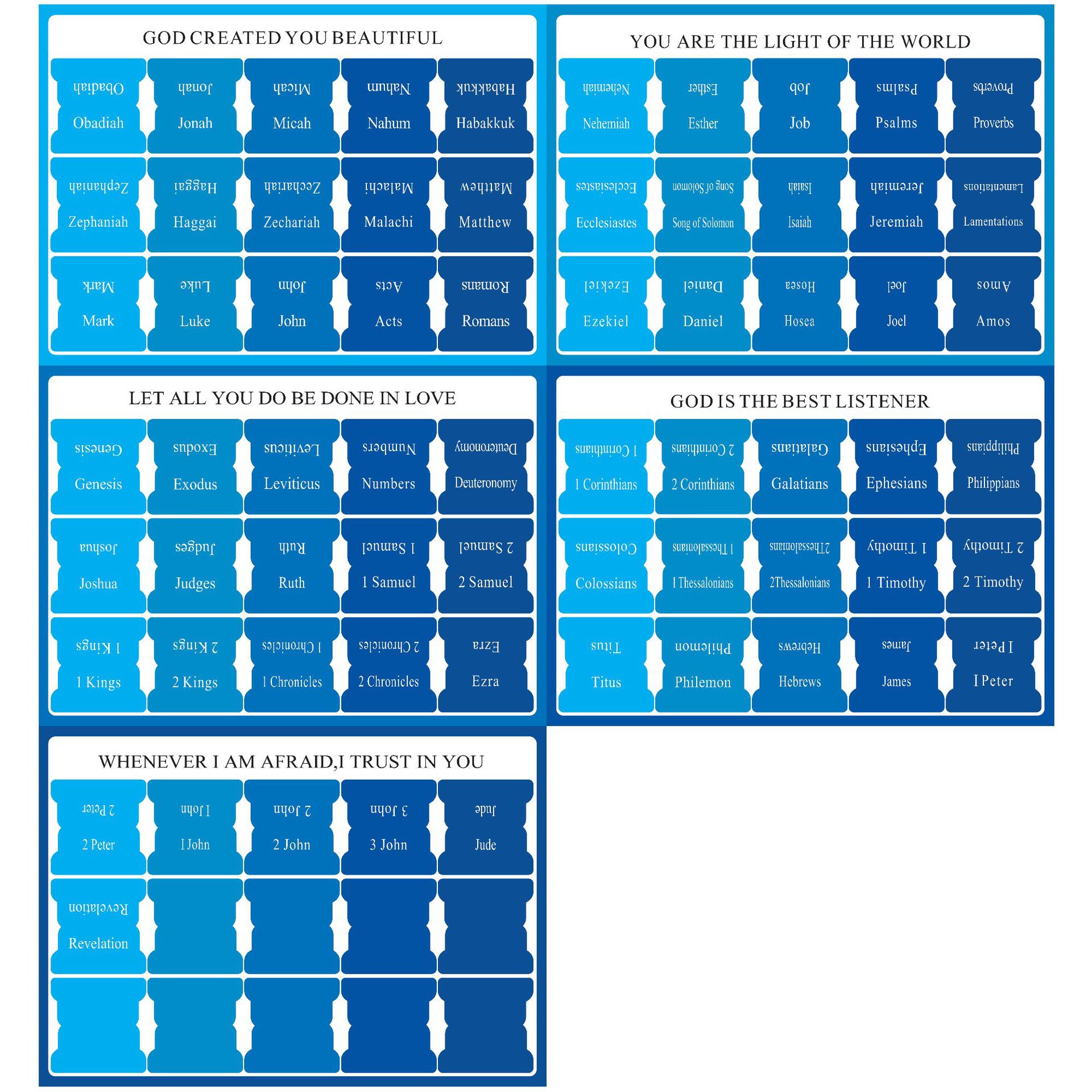 블루 모델-5 사진