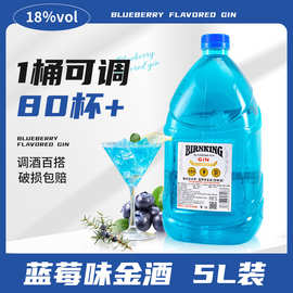 蓝莓味金酒酒吧饭店酒Gin酒金汤力鸡尾酒基酒调酒洋酒5升装