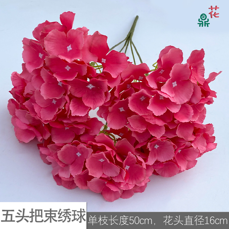 Five -headed hioglyph ls rose red