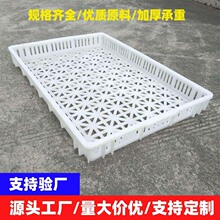 塑料单冻器烘干盘海鲜冷库冷冻晾晒筐托盘浅筐筛子长方形食品级盘