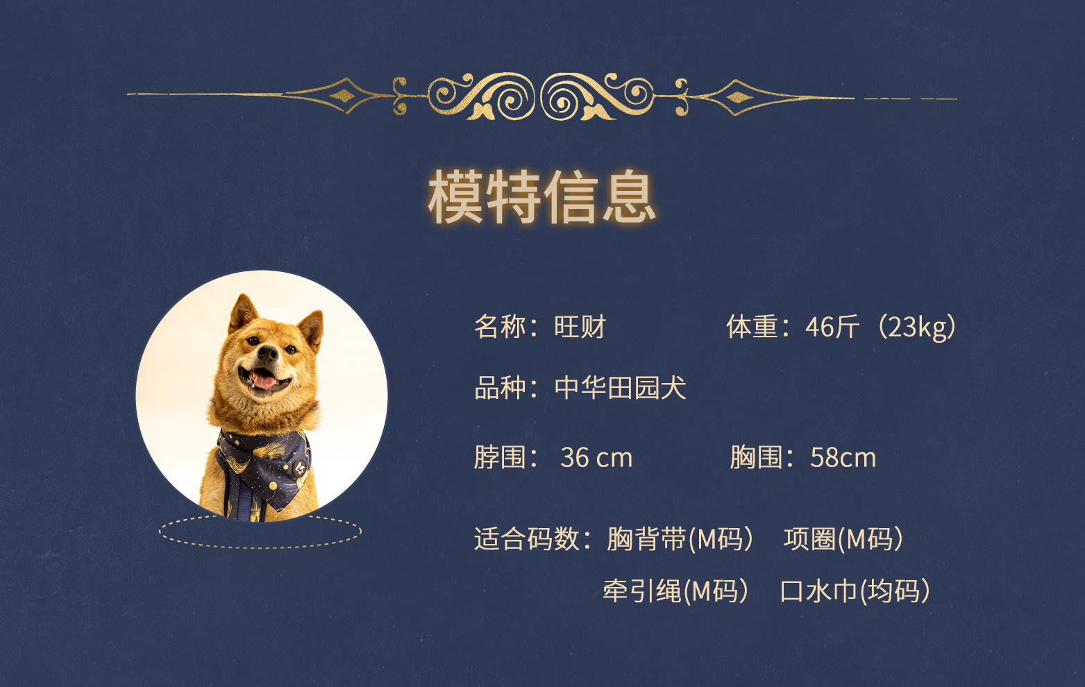 C端-塔罗详情页-中文_14.jpg