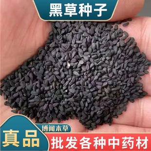 ��ș�ĺڷN���� �½��ڷN�������ڷN�����ͺ� �ڷN����ș��