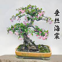 ���z���Ļ������Ϙ��������ļ��_���辰�����҃��r���ܾGֲ����B