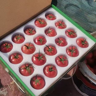 EPE������ˮ�����������\ݔ����������t�������޷�ˤ���b