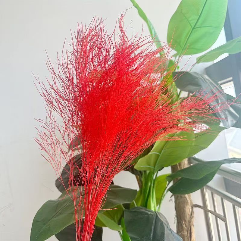 永生花石草 梦幻草长毛草ins风婚庆配材干花摆件花束家居装饰批发|undefined