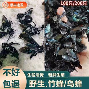 �V��Ұ�����������ܷ�����������}����ˮ����200��