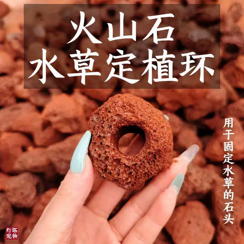 Вулканический камень пробивает фиксированную базу для посадки кольца натуральные ленивые водные растения и аквариум для создания ландшафта