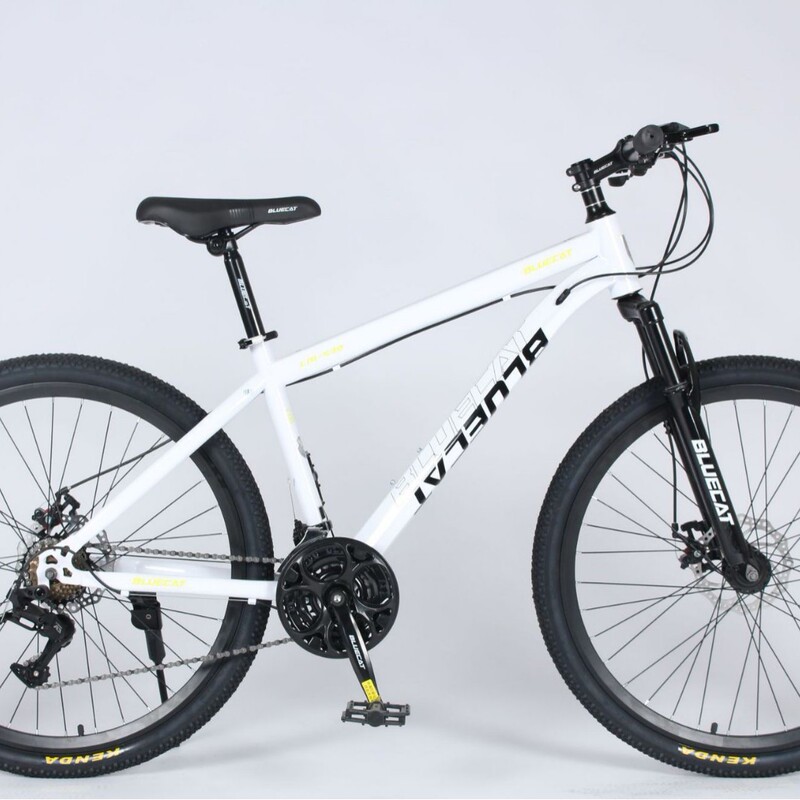 Mountain Bike Youth Adult Student Bike Variable Speed Racing Shock Absorption Road Bike Commuting Men and Women