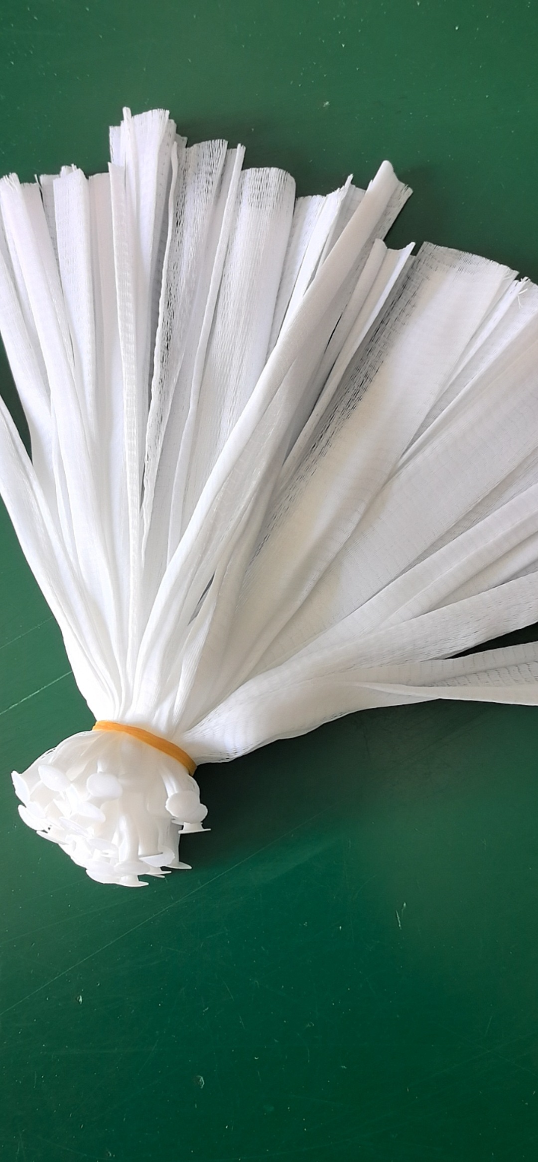 QQ图片20240526092220