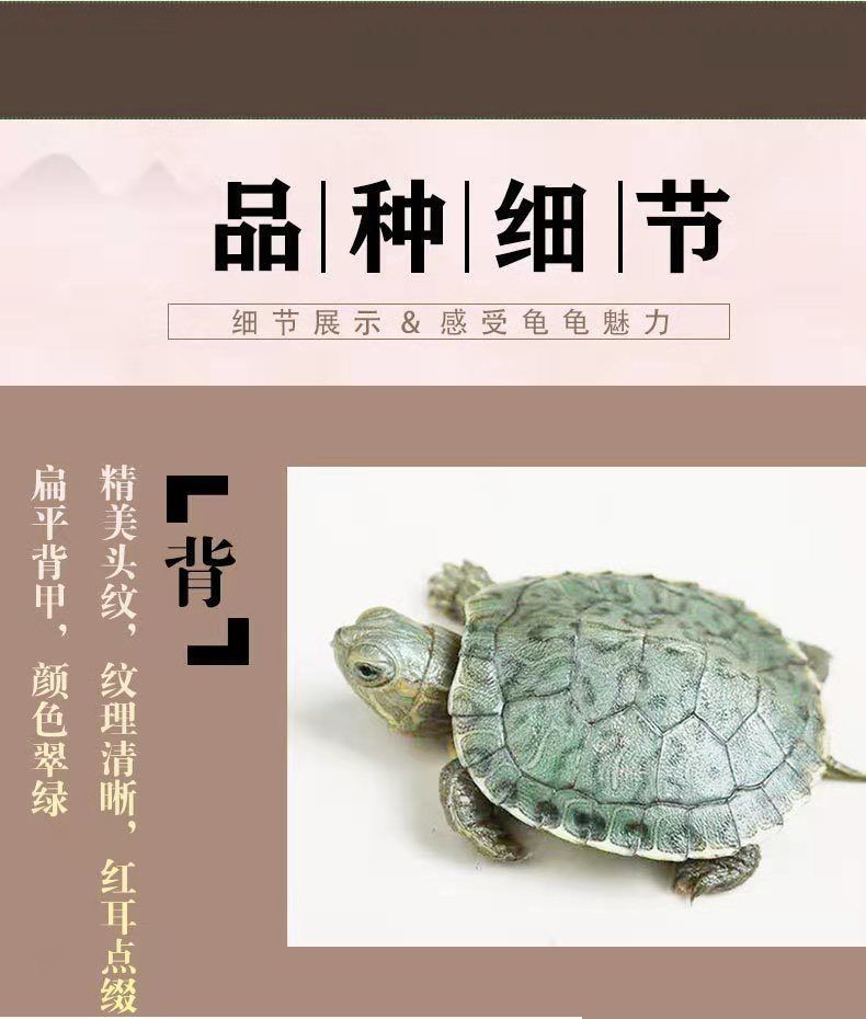 55b42785-0d40-4dbb-b913-c23c38d1e184.jpe