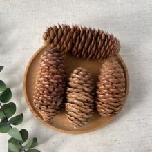 F�ɼ����޹�U�㱭�����ɹ��ɻ��}�Q�b�DIY�Ĕz������Ȼ�ֹ��M��