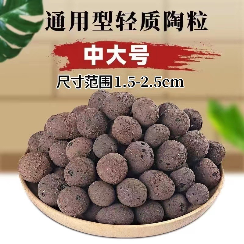 중대형 도자기 [대형 식물 포장/바닥]