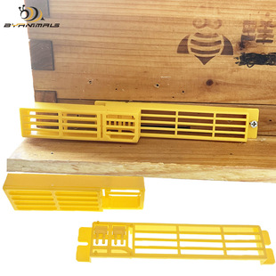 ���OӋ��С�ͷ�����ڴ��T���w�p�����ַ��������Ƭ�๦�ܿ�