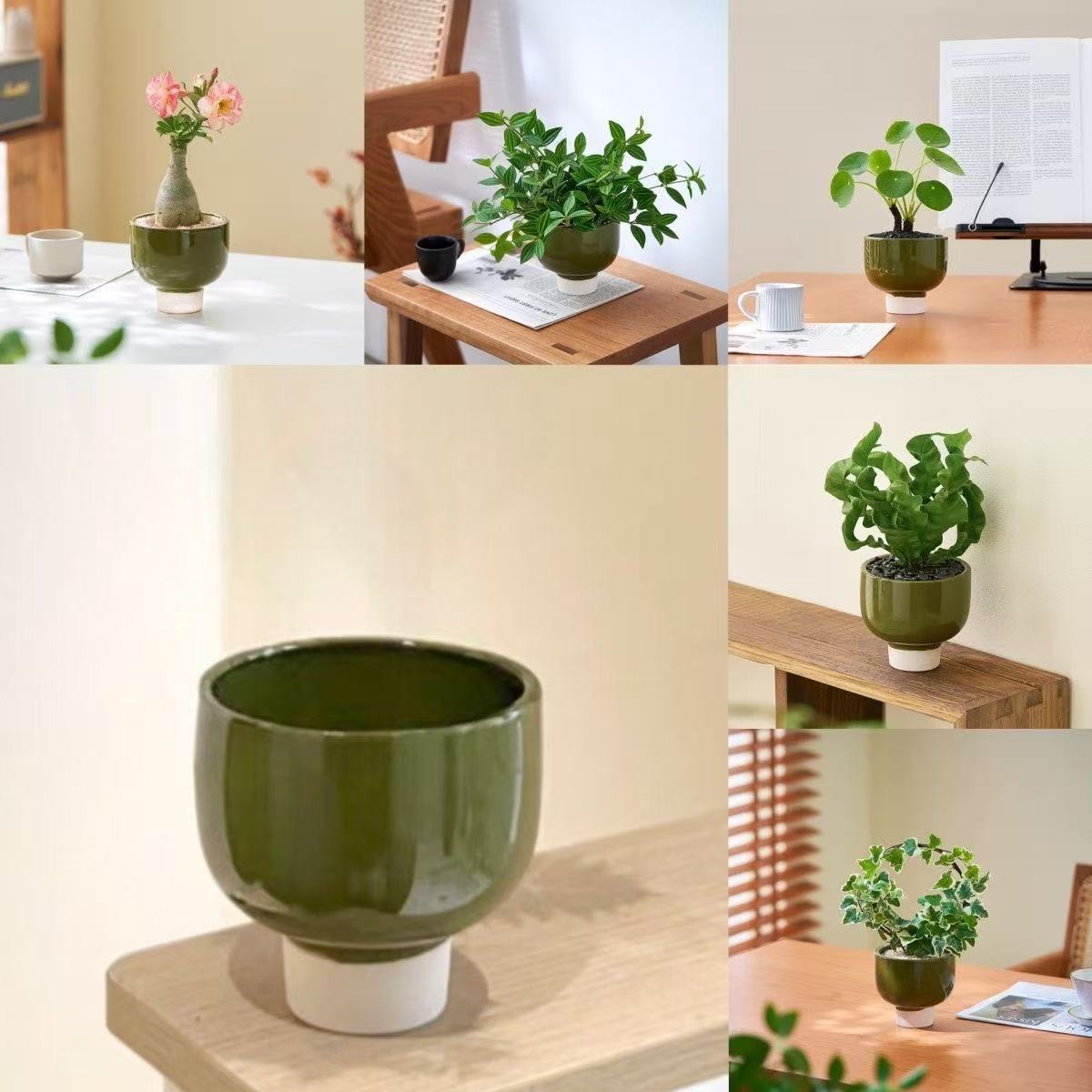 Creativa maceta verde árbol de hierro manzana verde bola de musgo / bambú batata hidroponía en maceta buena para mantener la mesa interior
