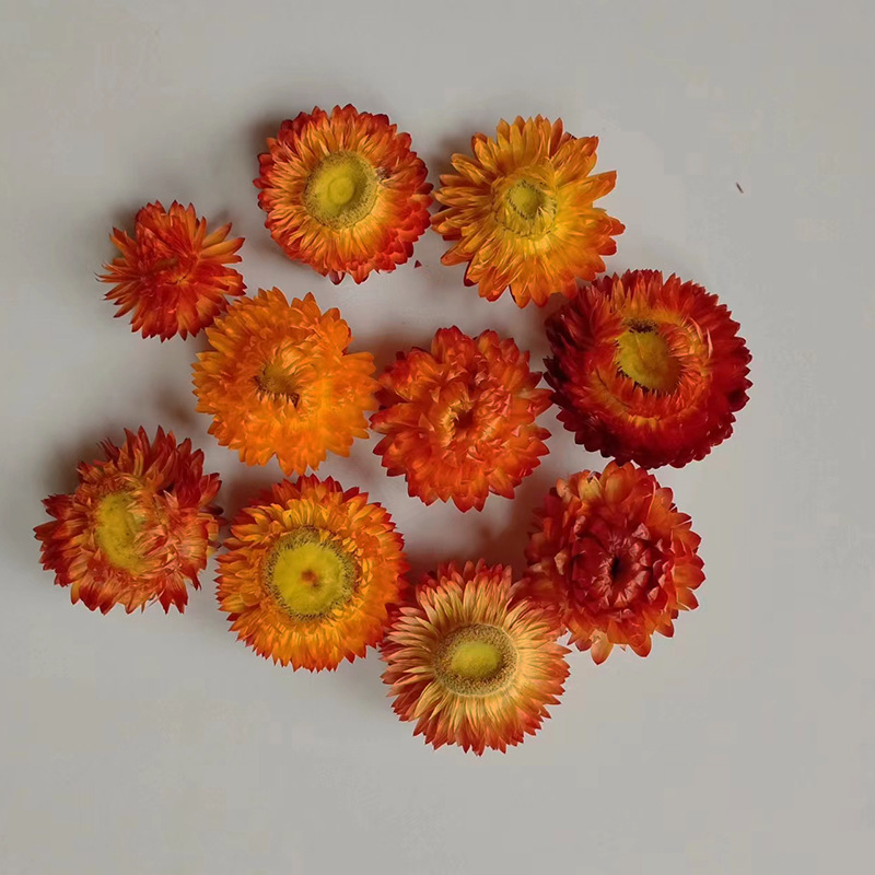 Orange red