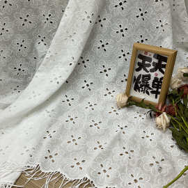 全棉蕾丝镂空立体刺绣布料春夏纯棉服装打孔水 溶流苏绣花布料