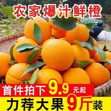 【高山夏橙】新鲜现摘橙子应季水果超甜薄皮秭归脐橙冰糖橙批发价