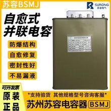 �K��BSMJ����ʽ�͉��K��������0.45/0.48-30-3�o���a�������