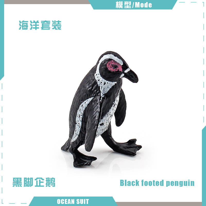BL-5152 pingüino de patas negras 3G