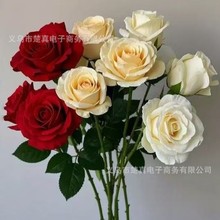 单枝玫瑰批发跨境热销绢布玫瑰家居客厅装饰假花婚礼瀑布玫瑰插花