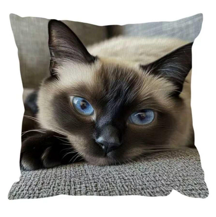 Explosiones transfronterizas bonitas y interesantes animales al aire libre impermeables almohada para jugar con teléfonos móviles para decorar la fiesta de gatos y gatos en la sala de estar sofá almohada
