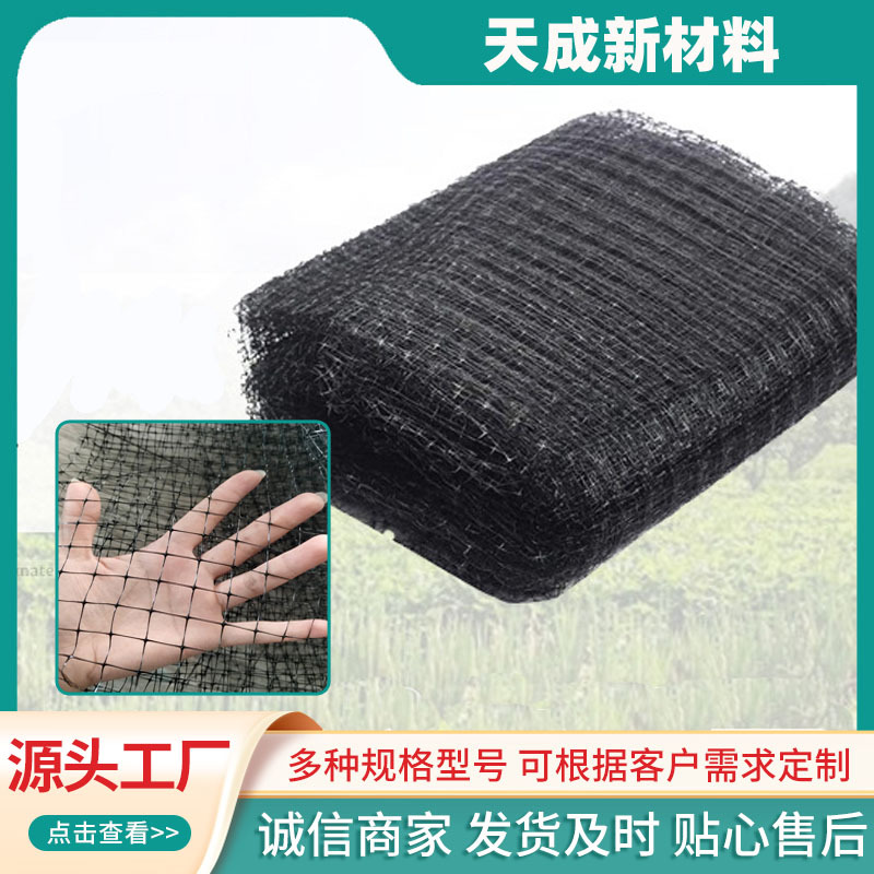 厂家直供稻谷种植防鸟网 稻田葡萄园樱桃园果园黑色尼龙防鸟网
