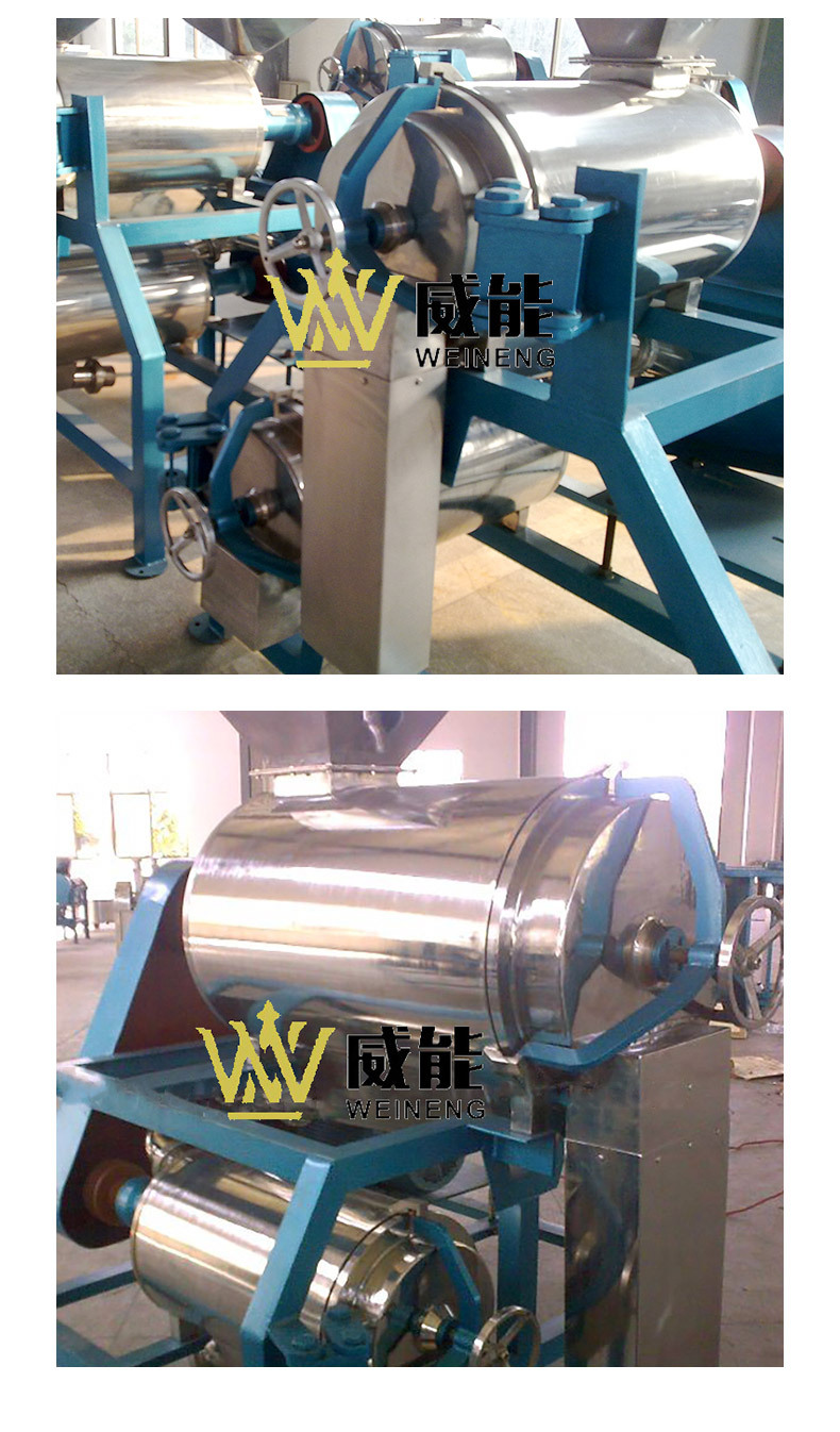 芒果打漿機(jī)_11