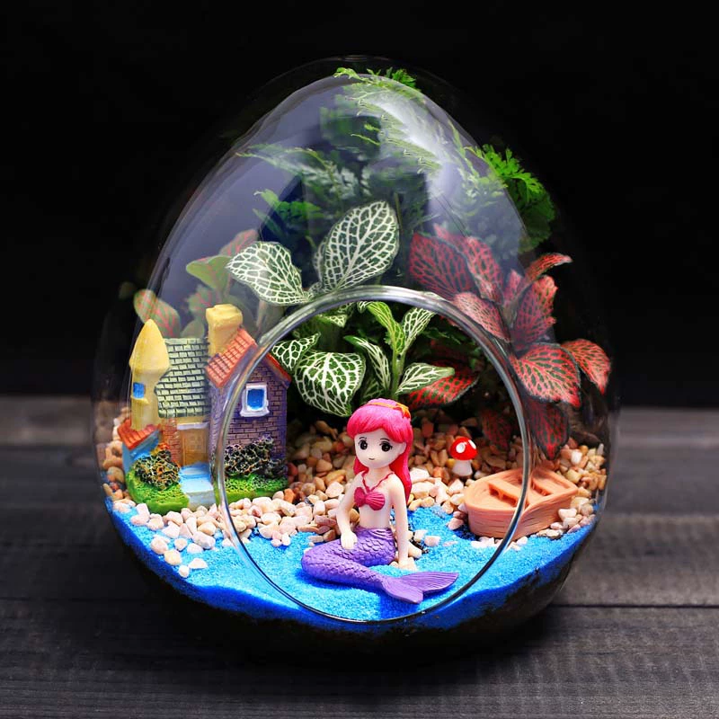 Большое яйцо комбинация микропейзаж экологическая бутылка мох DIY материал сумка Настольный стеклянный горшок маленькие украшения костюм