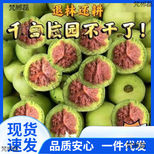 ������Ƥ��������ܼy����Ƥ������ҹ�ñ�����ـ�]�����Ǫ{���^