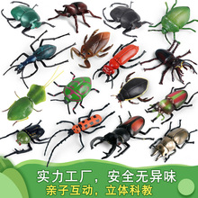 ���挍�Ą���ģ��ë����xϐ���،m���~����Lꪴ��x��ͯ�[��