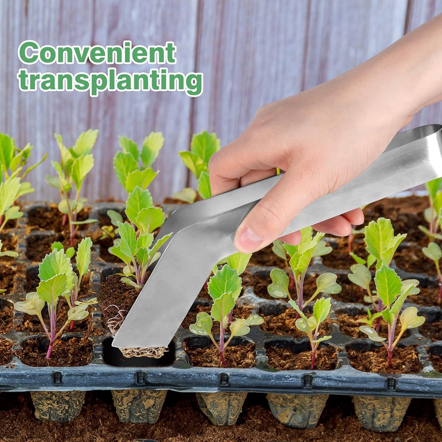Cross-border horticulture plant transplanting pliers seedling…
