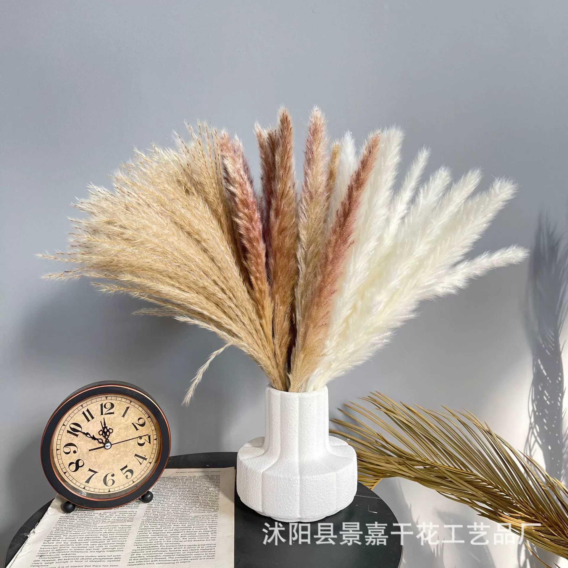 Пыль Маленький Рид Поп Рид Кролик Хвост Трава костюм Сухой цветок букет Костюм Богемный стиль украшения дома