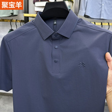 �ļ���ʿ�ٸɰ���t����ɫ������͸���޺������������ݶ���POLO��