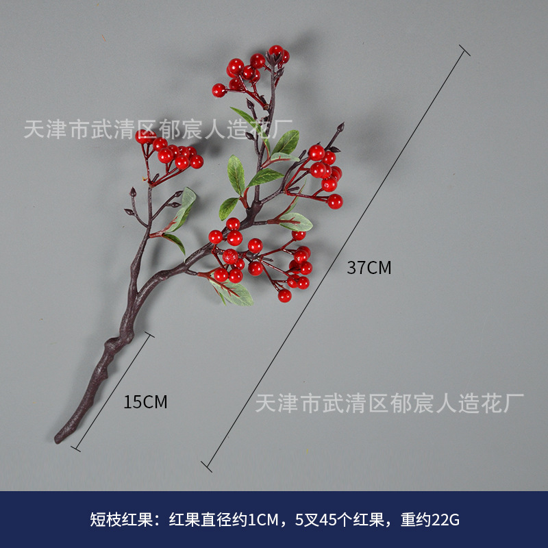 101 短枝红果.jpg