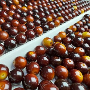 �S�����l��Ȼ�������ĥ���϶���ɫ��Ƥ���������������