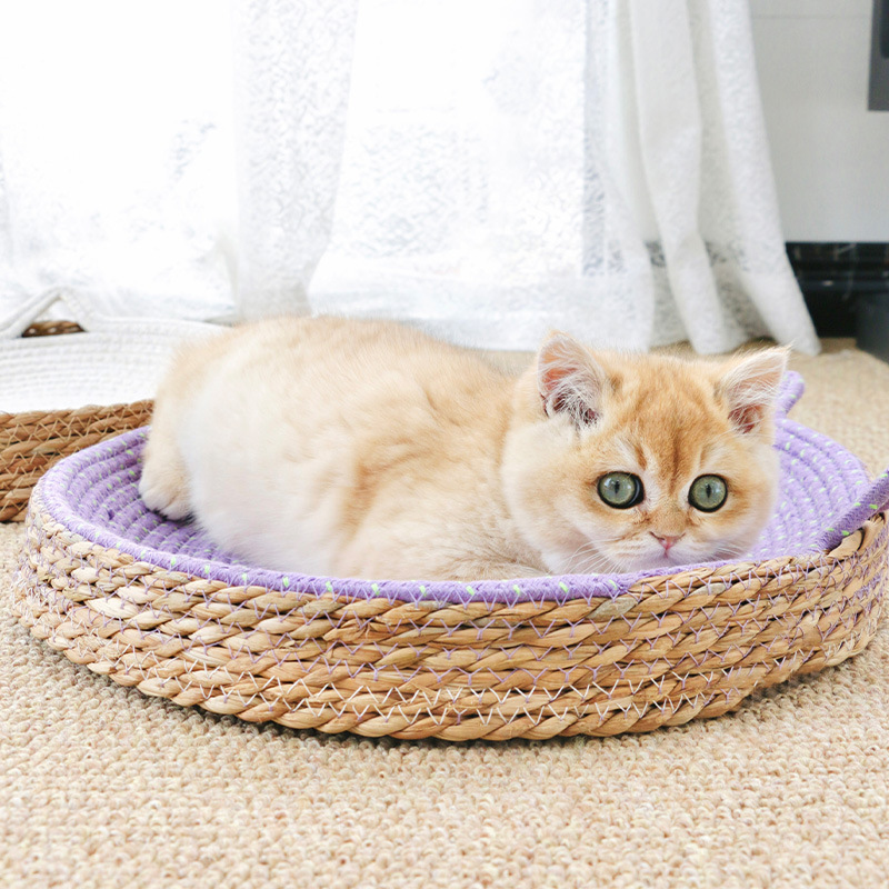 猫抓板窝磨爪猫爪板耐磨蒲草棉绳不掉屑猫窝抓盆一体猫咪用品玩具|undefined