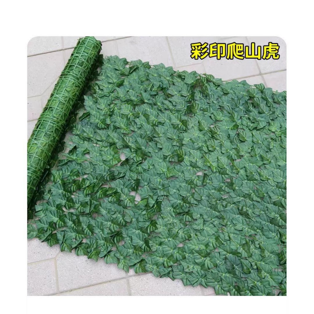 Comercio exterior transfronterizo de Amazon simulación planta valla valla césped uva valla de hoja verde valla valla