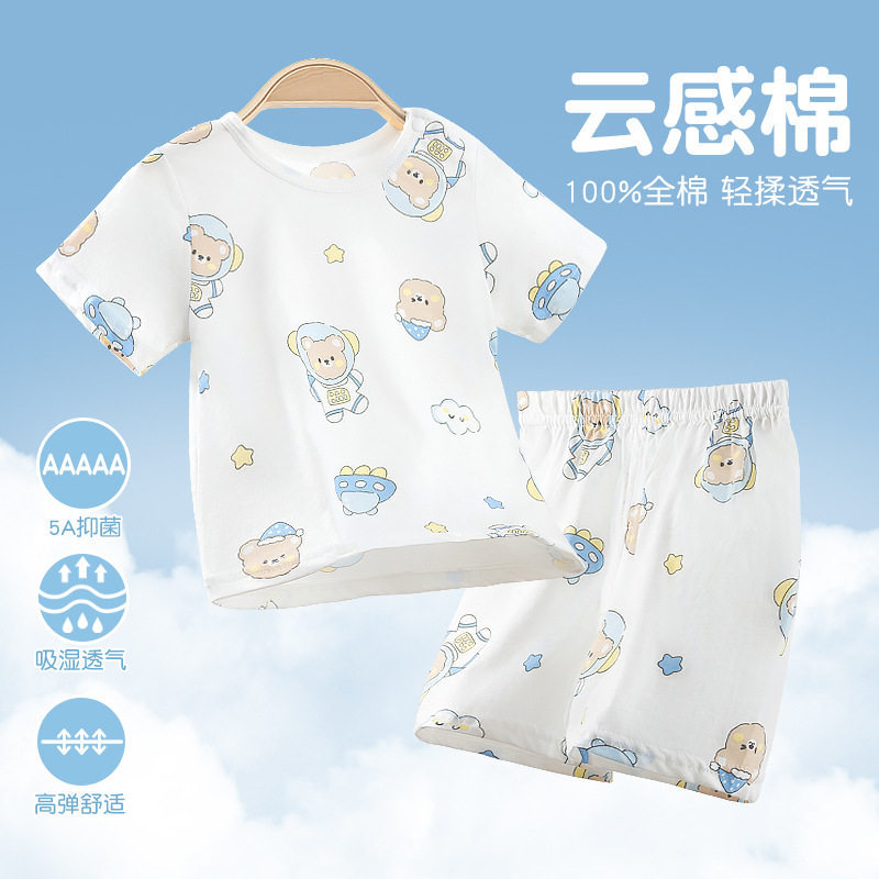 5A bacteriostatic Aerospace bear