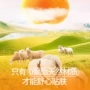 打底新款无痕秋冬背心