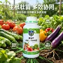水培防黄促进壮苗营养液