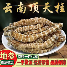 云南地参顶天柱材500g虫草参地参干淫花果男士回春草泡酒泡茶