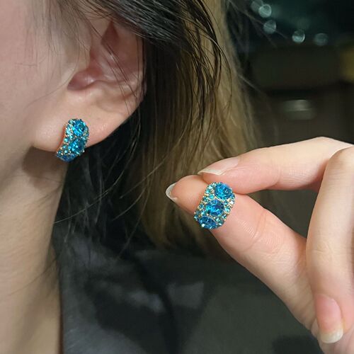Chic and Minimalist Spring Earrings with Korean Design - Cold Brew Blue High-End Minority Style Ear Studs