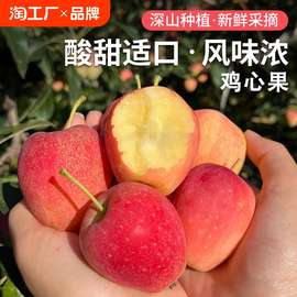 现摘东北鸡心果新鲜水果酸甜风味水果小苹果锦绣海棠果个小酸甜