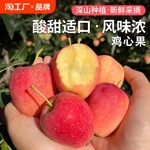 现摘东北鸡心果新鲜水果酸甜风味水果小苹果锦绣海棠果个小酸甜