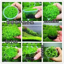 收纳架;厨房置物架;收纳盒