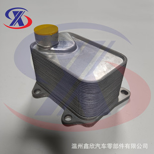 �������m��춴󱊊W��:06L117021C